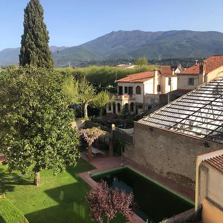 Disfruta Del Montseny *