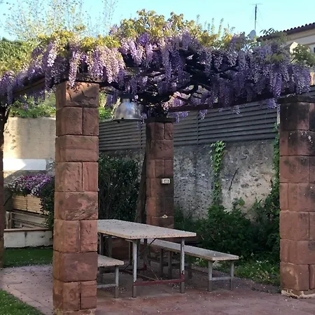 Apartment Disfruta Del Montseny *